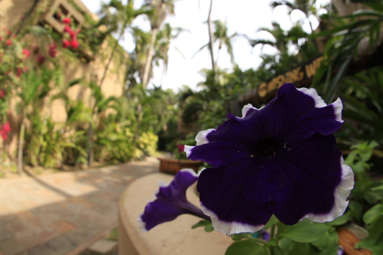 Villas El Rancho Green Resort Mazatlan Dış mekan fotoğraf